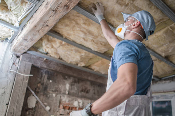Best Spray Foam Insulation in Quincy, FL