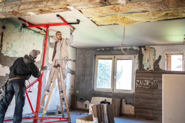 Best Insulation Maintenance and Repair in Quincy, FL