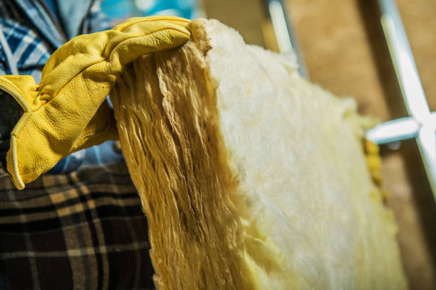 Best Specialized Insulation Services in Quincy, FL