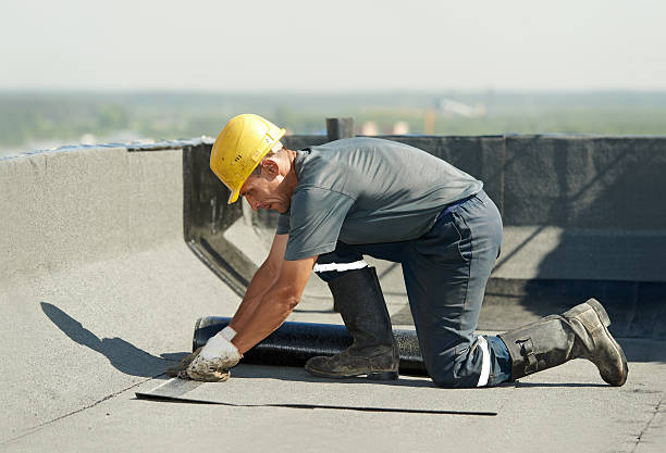 Best Commercial Insulation in Quincy, FL
